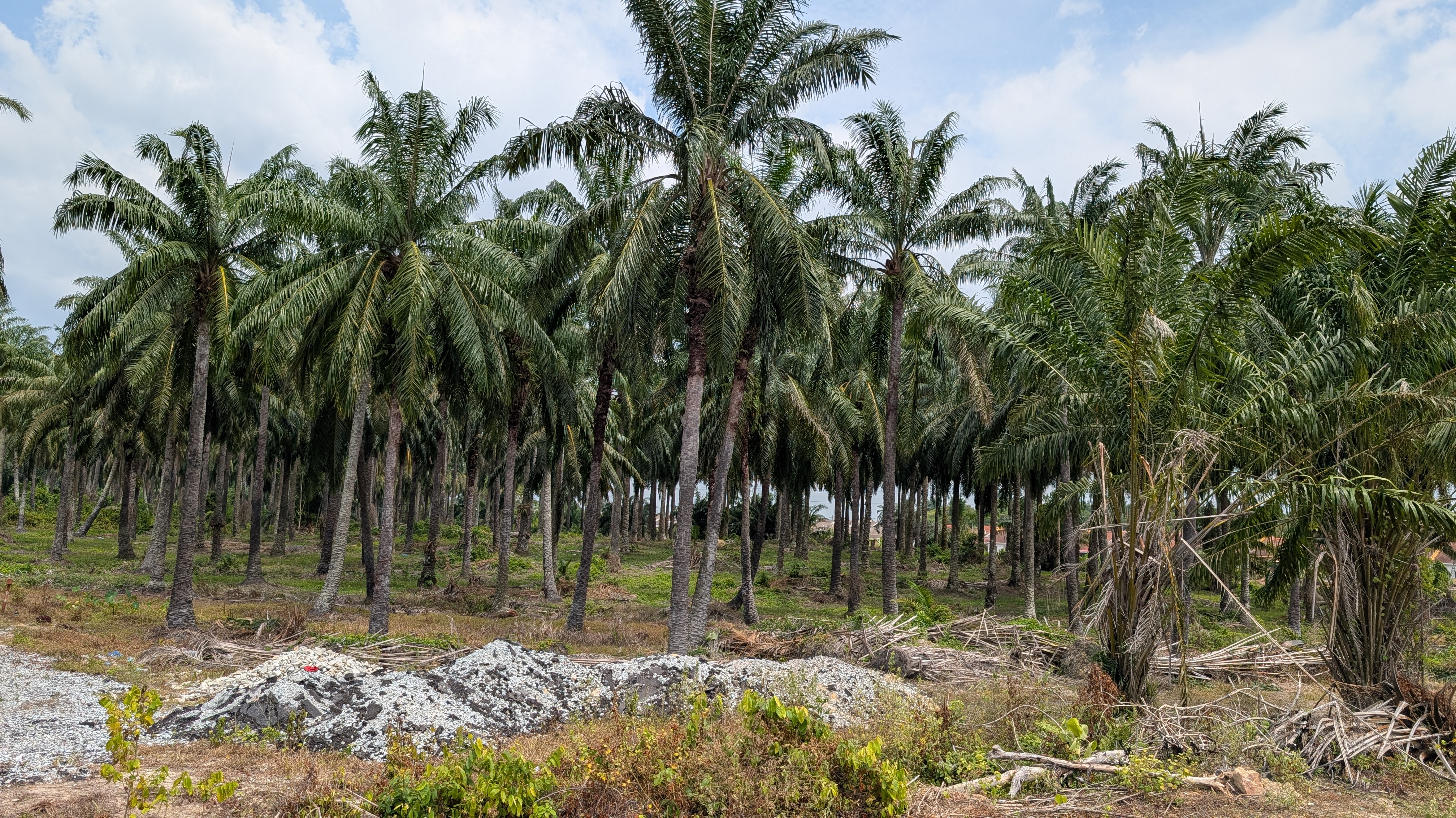 Pemandangan luas ladang solar